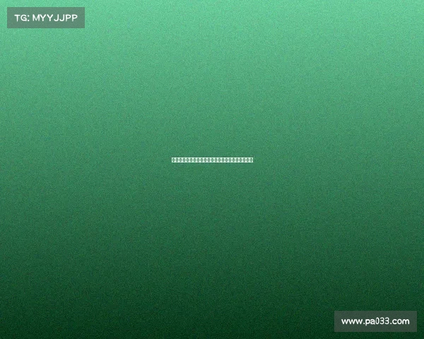 云达不来梅新赛季展望：重建之路与年轻球员的崛起