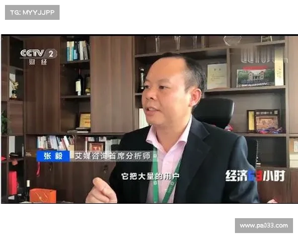 法甲联赛财务健康现状分析与未来发展趋势探讨