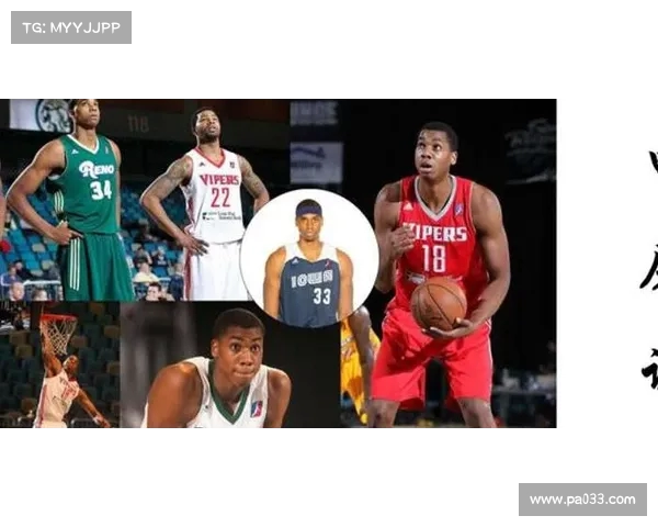 《从起点到巅峰：NBA球员生涯传奇与奋斗之路》